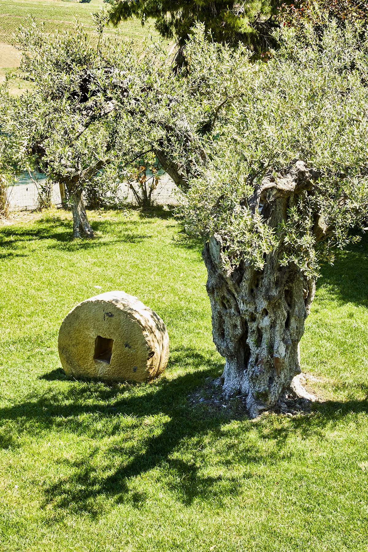 Agriturismo Dimina a Castelvetrano (Trapani)